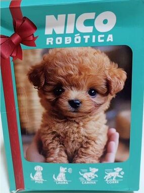 NICO ROBÓTICA Teal Puppy Gift Box Art
